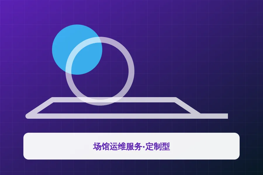 场馆运维服务·定制型应用示意图