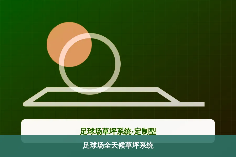 足球场全天候草坪系统产品示意图
